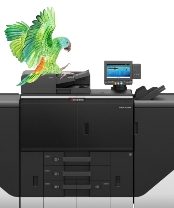 Welcome to our Production Print Hub!